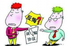 蕉岭要账公司更多成功案例详情